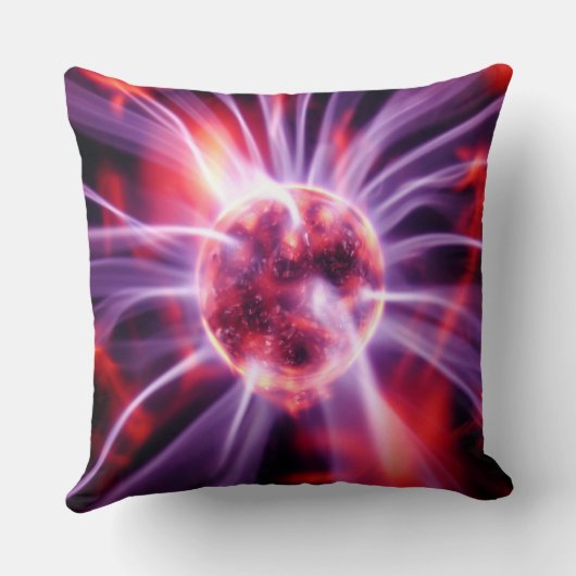 電気 クッション (裏面)