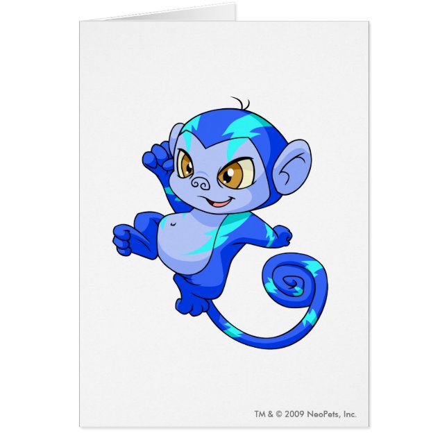 電気Mynci (正面)