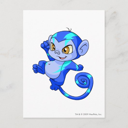 電気Mynci ポストカード (正面)