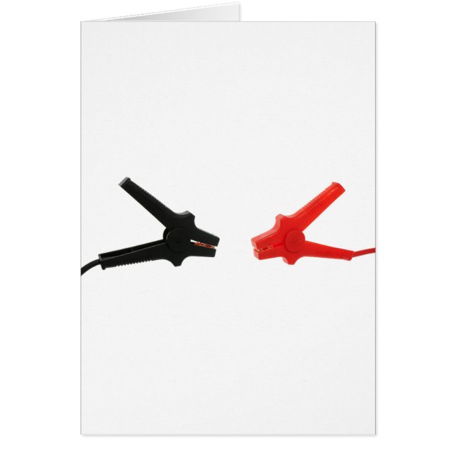 電池ケーブル (正面)