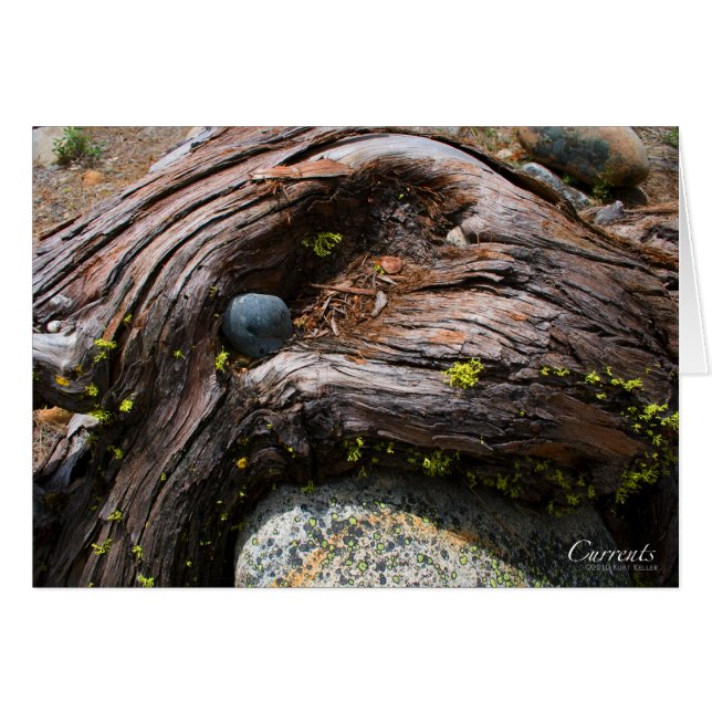 電流カード (正面横)