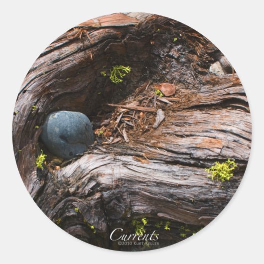 電流ステッカー ラウンドシール (正面)