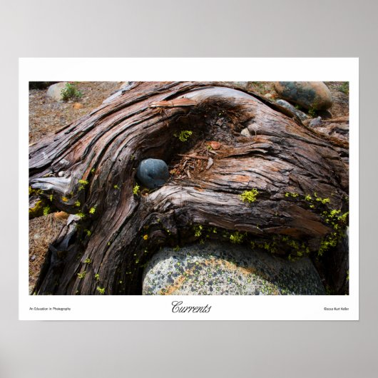 電流プリント ポスター (正面)