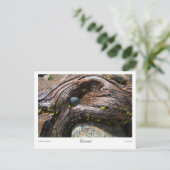 電流プリント ポストカード (スタンド正面)