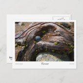 電流プリント ポストカード (正面/裏面)