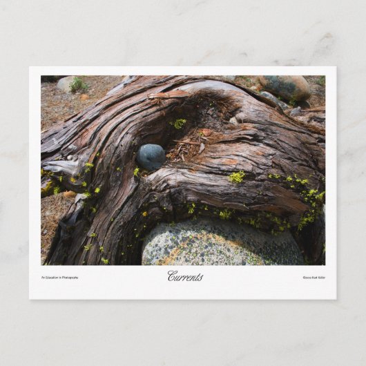 電流プリント ポストカード (正面)