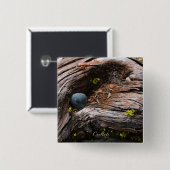 電流ボタン 缶バッジ (正面&裏面)