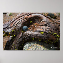 電流ポスター ポスター