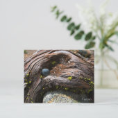 電流写真はがき ポストカード (スタンド正面)