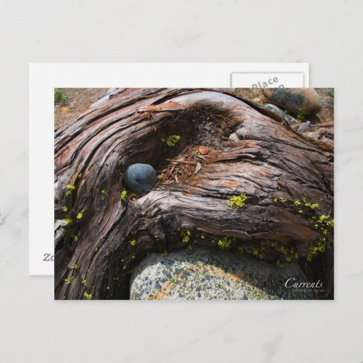 電流写真はがき ポストカード (正面/裏面)