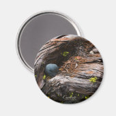 電流磁石 マグネット (正面/裏面)