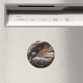 電流磁石 マグネット (インサイチュ (食洗機))