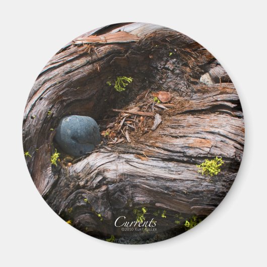 電流磁石 マグネット (正面)