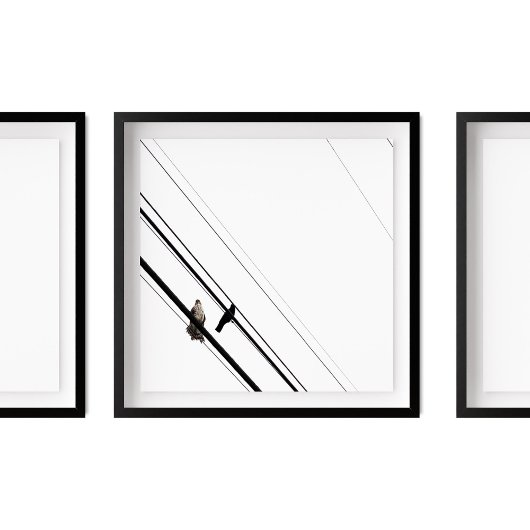 電源ラインでのホークとカラス ポスター