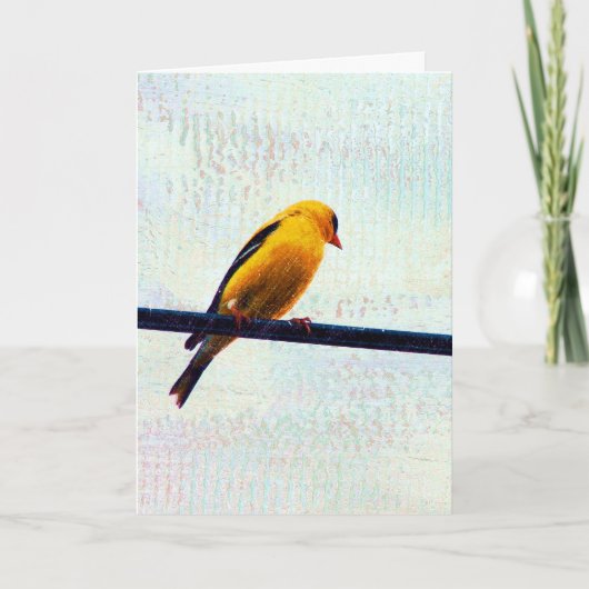 電源ラインのゴールドフィンチ カード (正面)