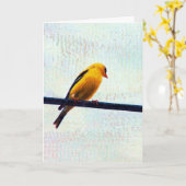 電源ラインのゴールドフィンチ カード (黄色い花)