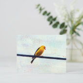 電源ラインのゴールドフィンチ ポストカード (スタンド正面)