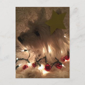 電灯ウェスティー ポストカード