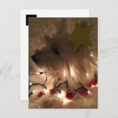 電灯ウェスティー ポストカード (正面/裏面)