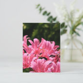 電灯リリー葉書 ポストカード (スタンド正面)