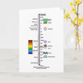 電磁スペクトル カード (黄色い花)