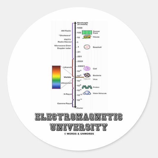 電磁大学(Electromag. Spectrum) ラウンドシール (正面)