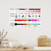 電磁波スペクトル特性の図 ポスター (キッチン)