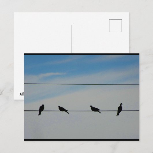 電線上の鳥 ポストカード (正面/裏面)