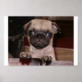 電話した？ ポスター (正面)