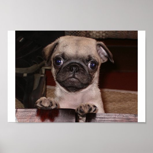 電話した？ ポスター (正面)