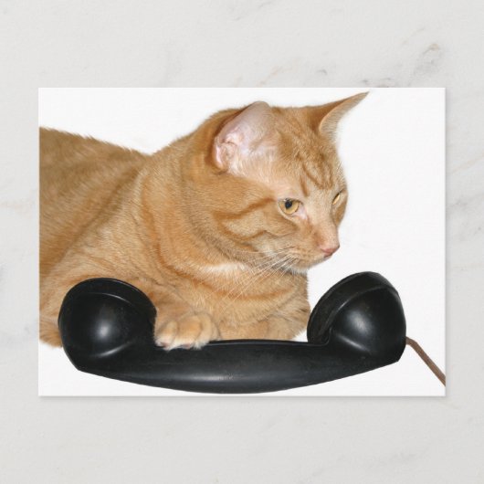 電話する ポストカード (正面)