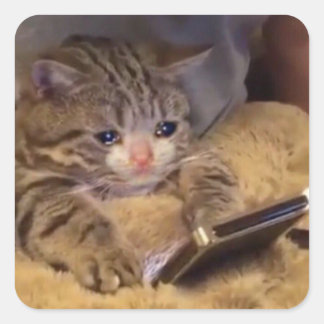 電話で悲しい猫 スクエアシール