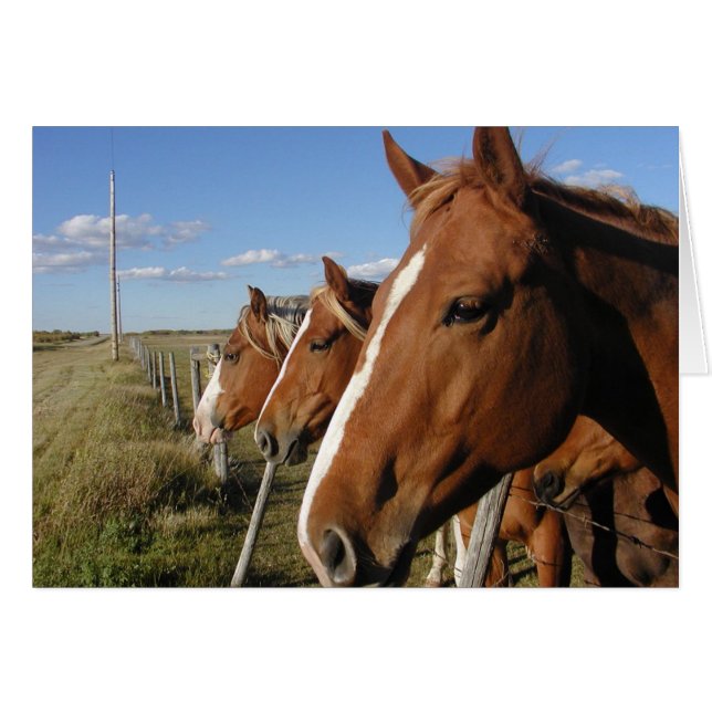 電話で (正面横)