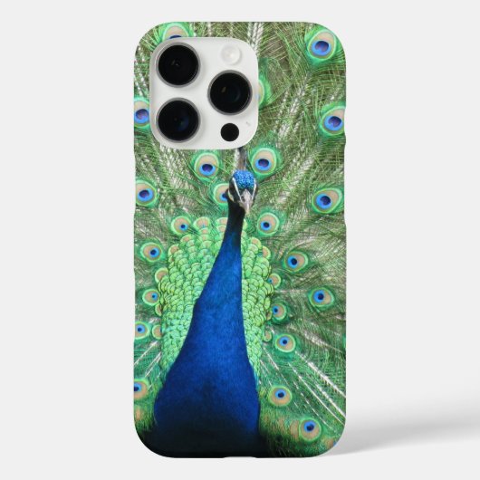 電話ケース – 誇りを持った孔雀P Case-Mate iPhoneケース (裏面)