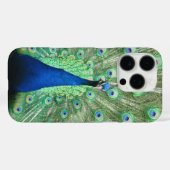 電話ケース – 誇りを持った孔雀P Case-Mate iPhoneケース (裏面 (横))