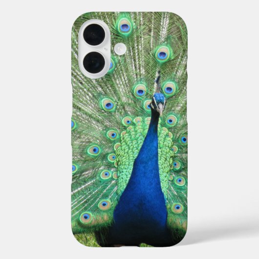 電話ケース – 誇りを持った Peacock Case-Mate iPhoneケース (裏面)
