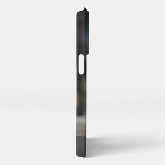 電話ケース iPhoneケース (右側面)