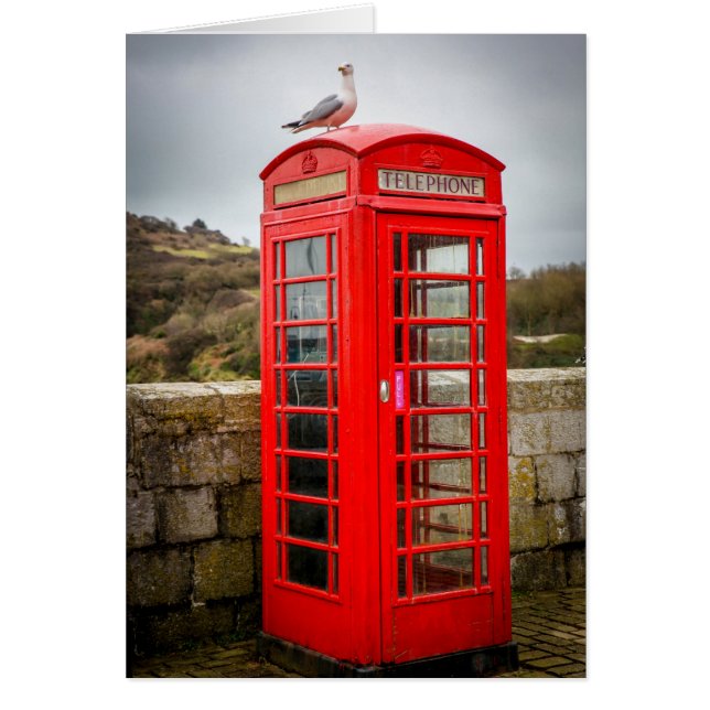 電話ボックスのカモメ (正面)