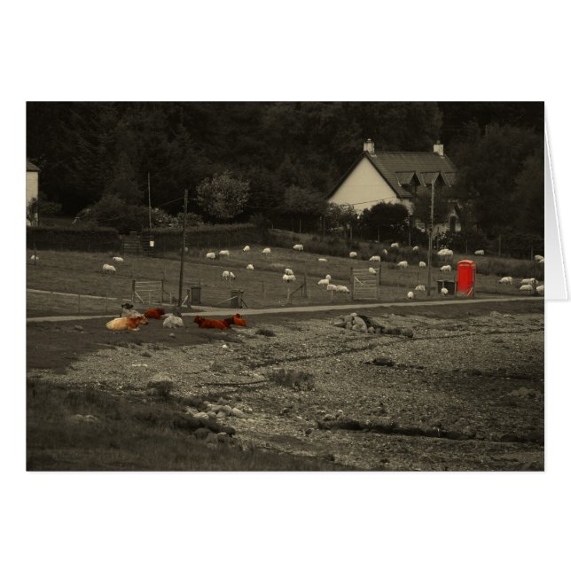 電話ボックス (正面横)