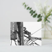 電話ポールのリスの黒と白の写真 ポストカード (スタンド正面)