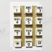 電話番号 便箋 (正面/裏面)