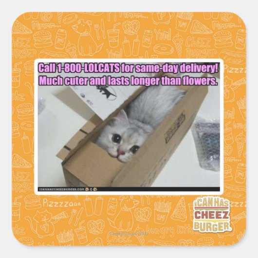 電話1-800-LOLCATS スクエアシール (正面)