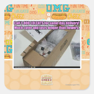 電話1-800-LOLCATS スクエアシール