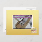 電話1-800-LOLCATS ポストカード (正面/裏面)