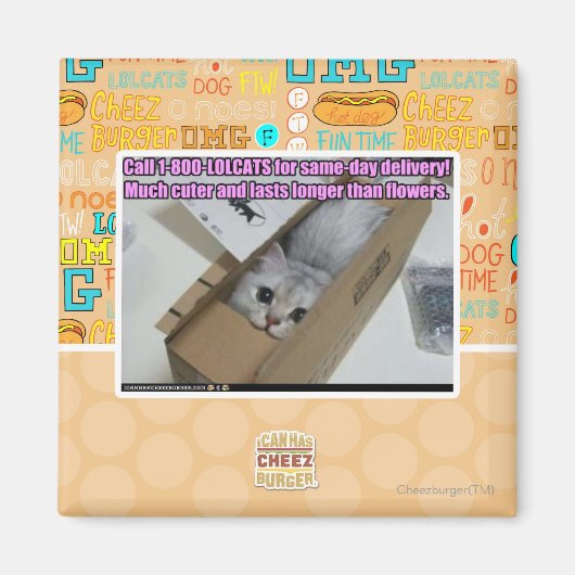 電話1-800-LOLCATS マグネット (正面)