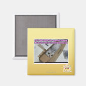 電話1-800-LOLCATS マグネット (正面/裏面)