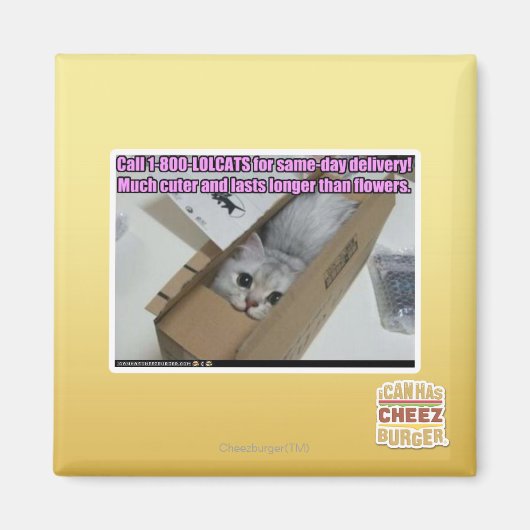 電話1-800-LOLCATS マグネット (正面)