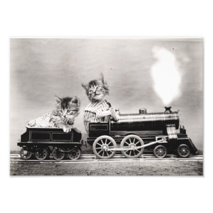 電車で子猫 フォトプリント