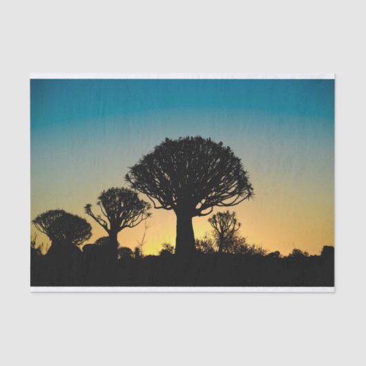 震えの木の森林日没のティッシュペーパー 薄葉紙 (正面)