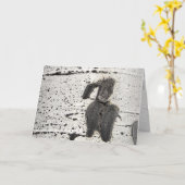 震える《植物》アスペンバークの写真フィルター空白のイン カード (黄色い花)